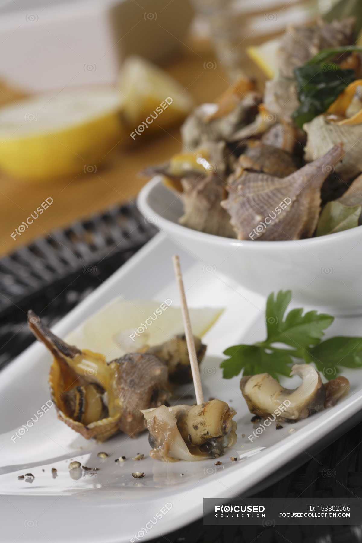 Closeup view of cooked Spiny dye-murex sea snails with herbs — Ready To ...