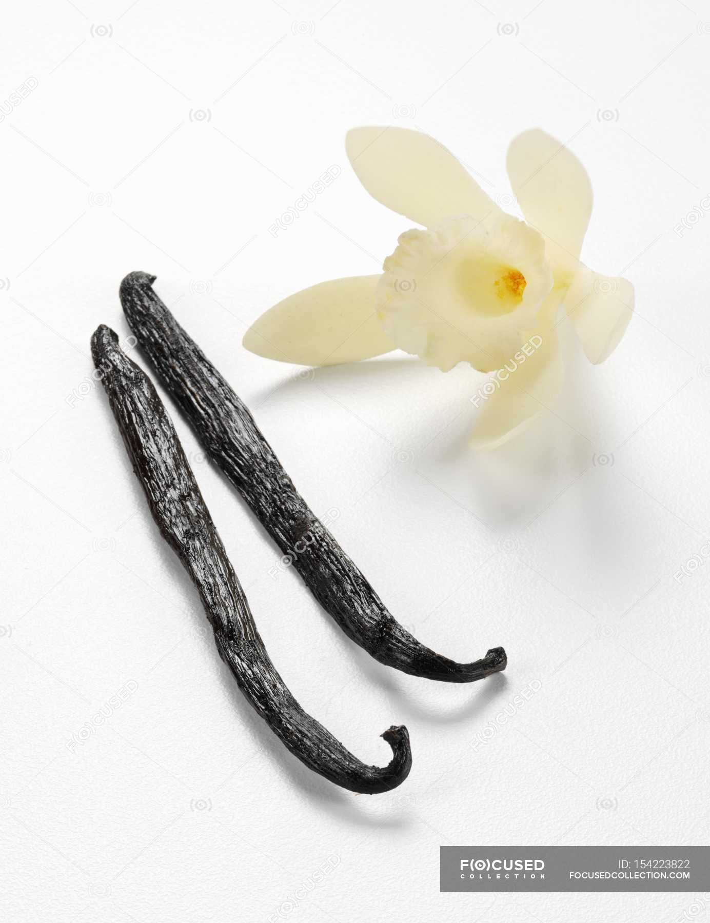 Vanilla pods with flower — ingredient, taste Stock Photo 154223822
