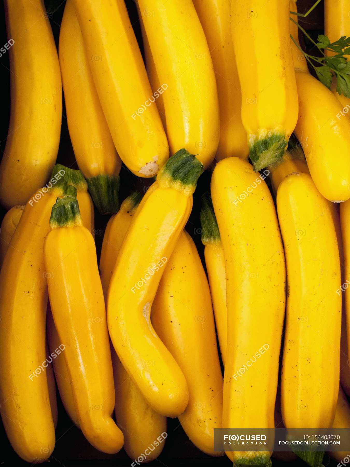 Fresh Yellow courgettes — close up, grown your own - Stock Photo ...