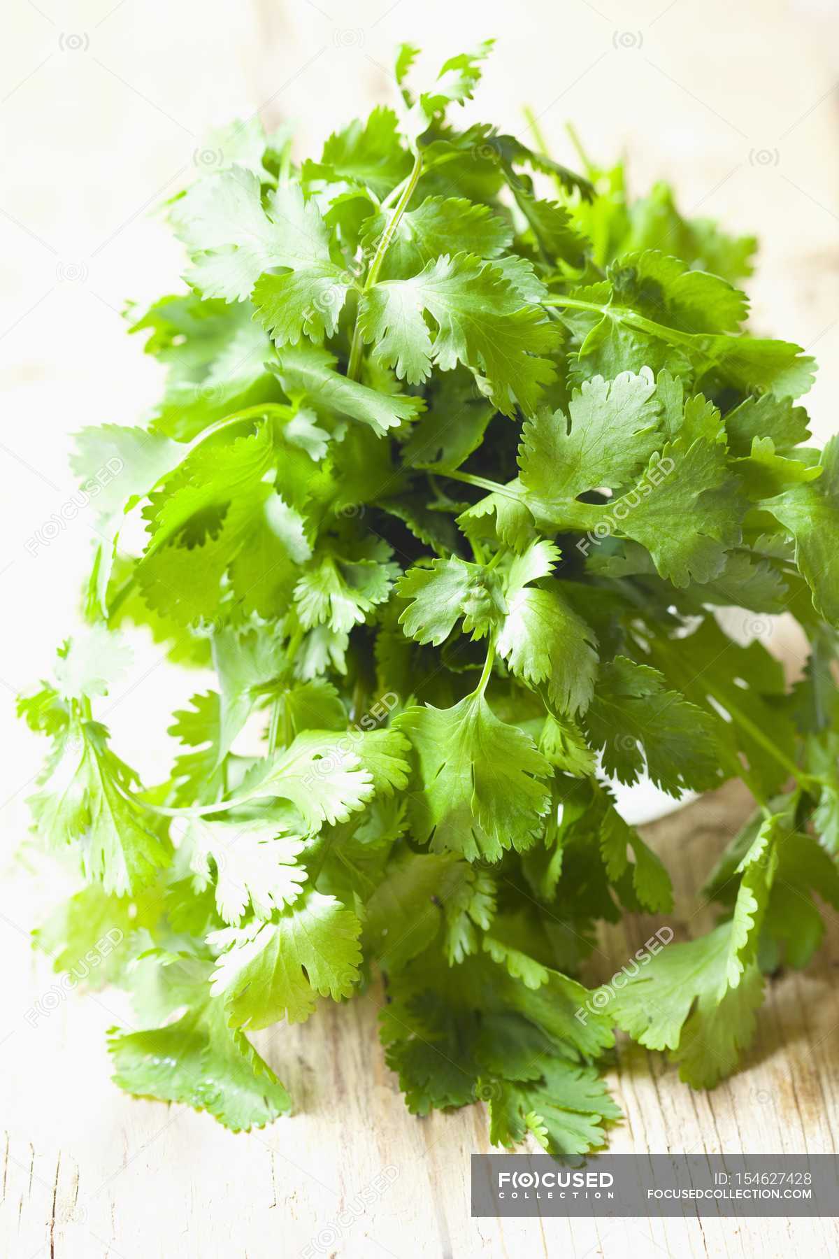 Bunch of Fresh coriander — spice, healthy Stock Photo 154627428
