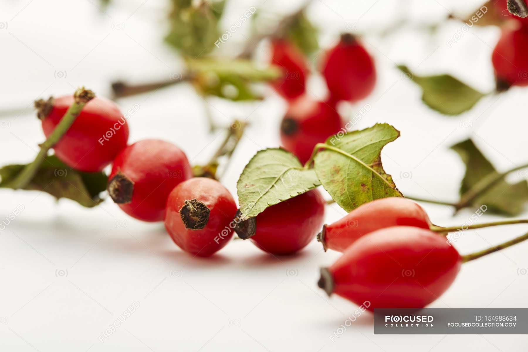 Rose Hips With Leaves Healthy Food Organic Food Stock Photo