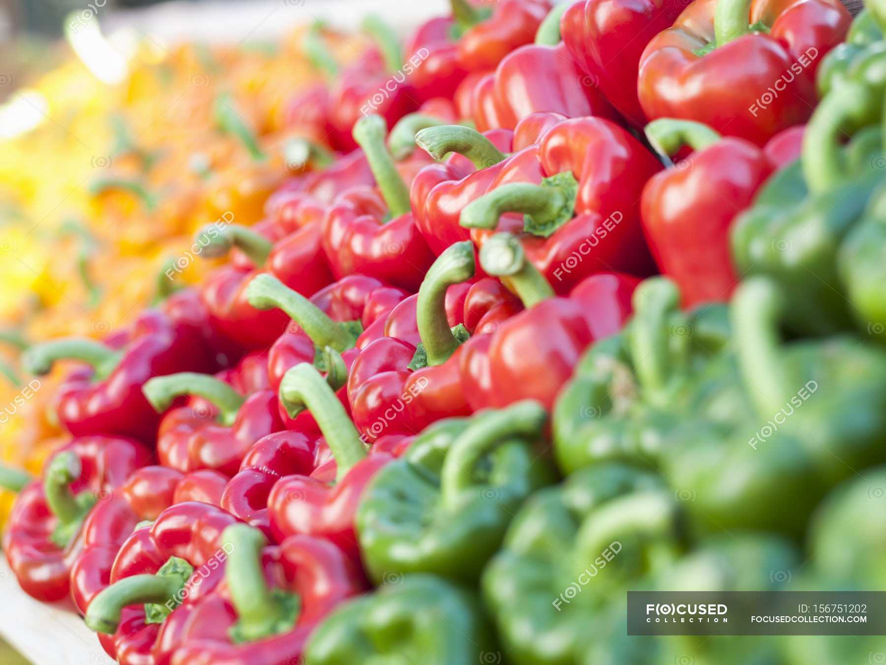 Перец зелено красный. Перец зеленый. Перец красный и зеленый. Green and Red Bell Peppers. Жёлтый перец конусавидни сладкий.