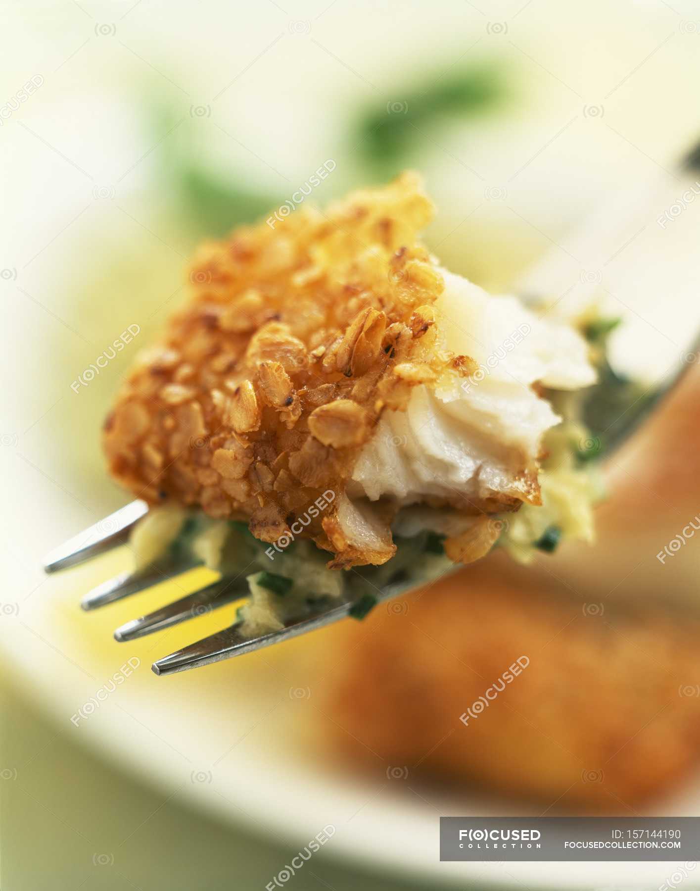 Fried halibut fish — selective focus, close up - Stock Photo | #157144190