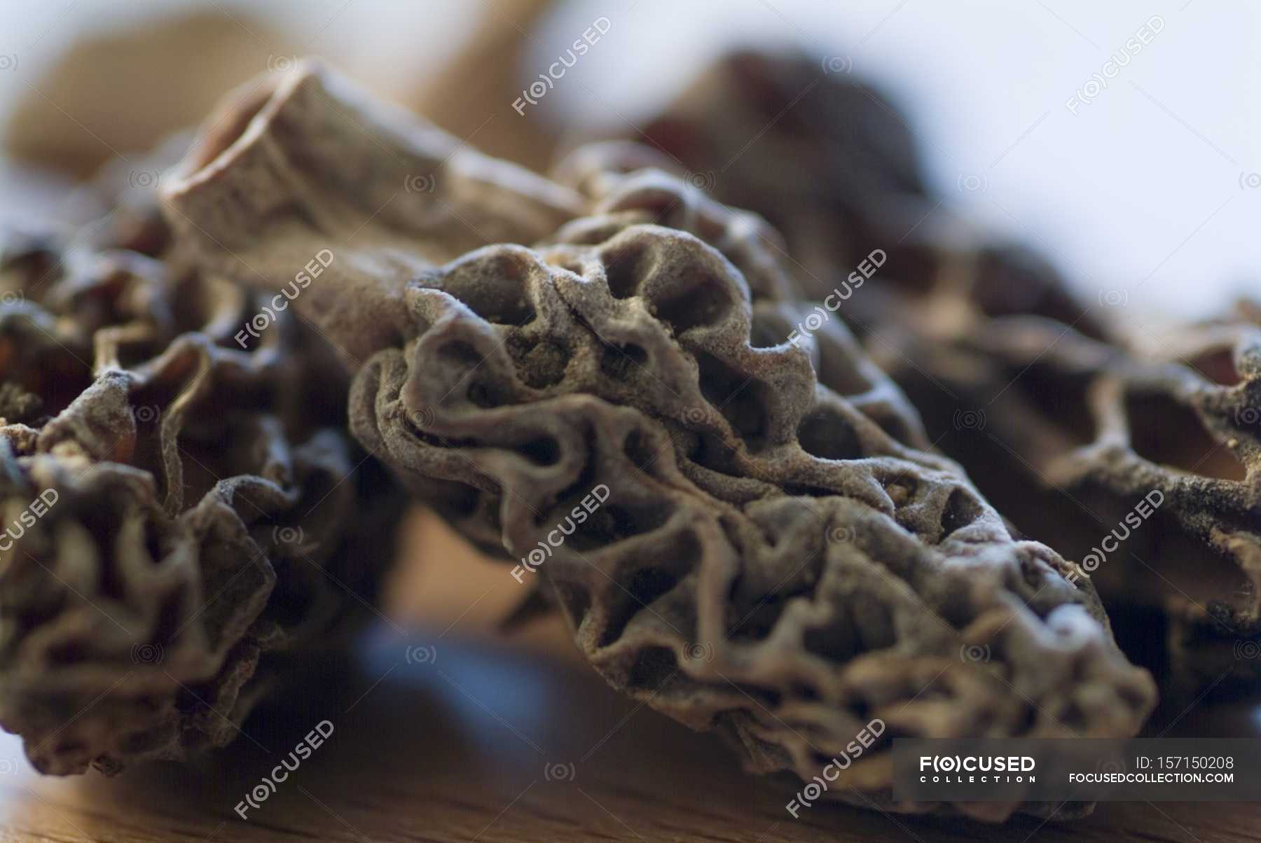Dried morel mushrooms — close up, meal - Stock Photo | #157150208