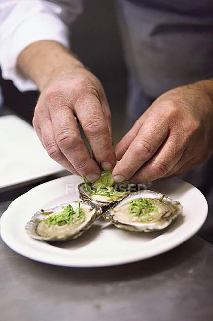 Обрезанный вид человека, касающегося моллюска с травами на тарелке — стоковое фото