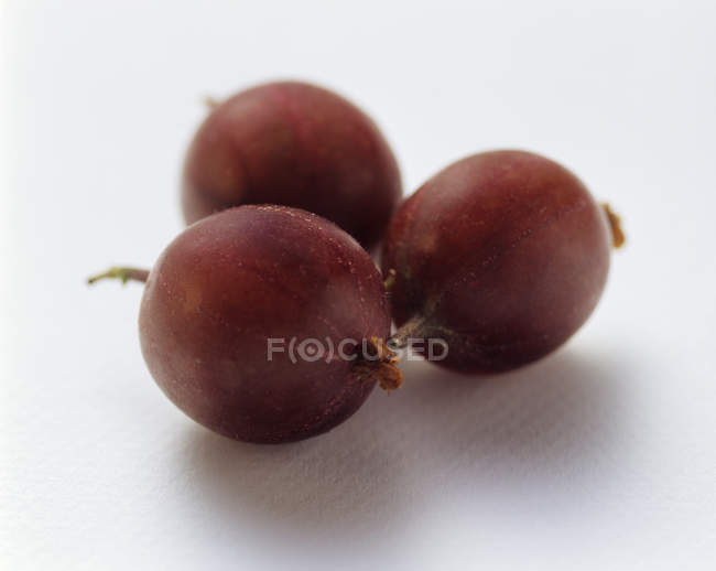 Groselhas espinhosas frescas e maduras — Fotografia de Stock