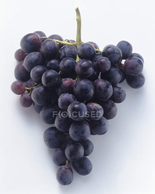 Пучок червоного винограду — стокове фото