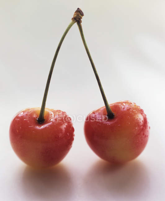 Fresh cherries on stalk — Stock Photo