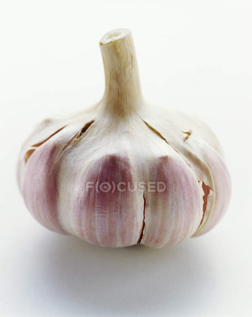 Bulb on white background — Stock Photo