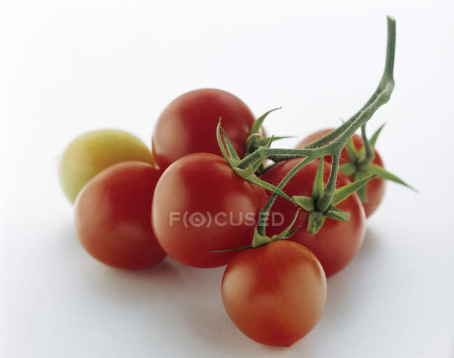 Tomates de uva frescos - foto de stock