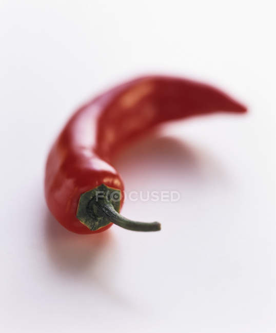 Un Chili Serrano rouge cru sur fond blanc — Photo de stock