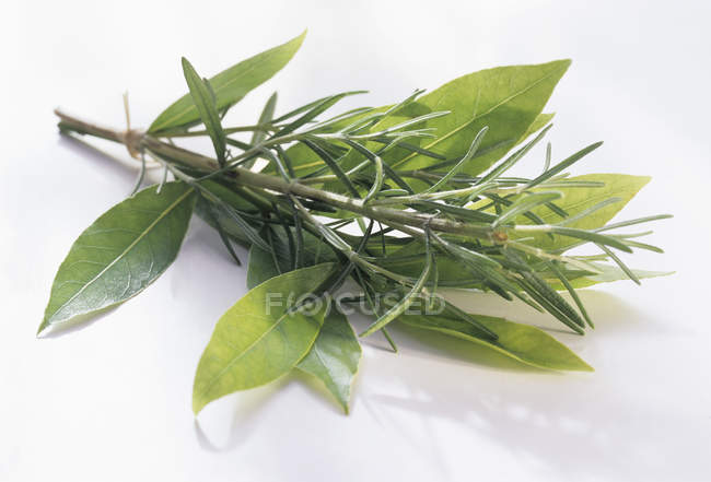 Romarin et feuilles de laurier — Photo de stock