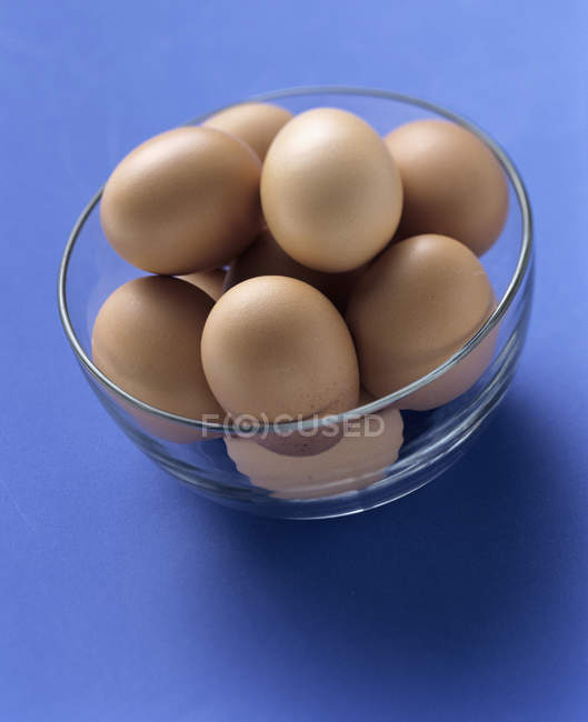 Brown Eggs in Bowl — Stock Photo