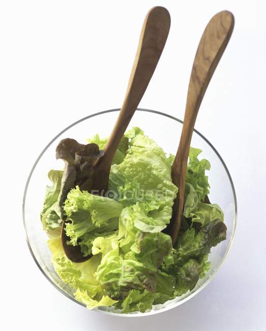 Alface mista em tigela de salada de vidro — Fotografia de Stock