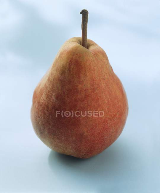 Red Bartlett Pear — Stock Photo