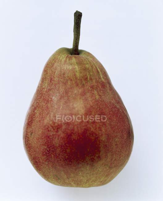 Red Bartlett Pear — Stock Photo