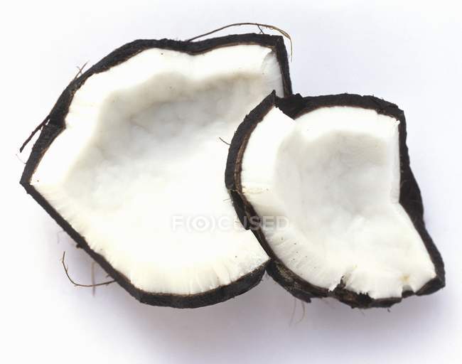 Fresh Pieces of Coconut — Stock Photo