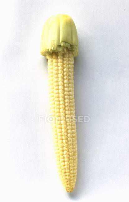 Fresh Baby Corn — Stock Photo