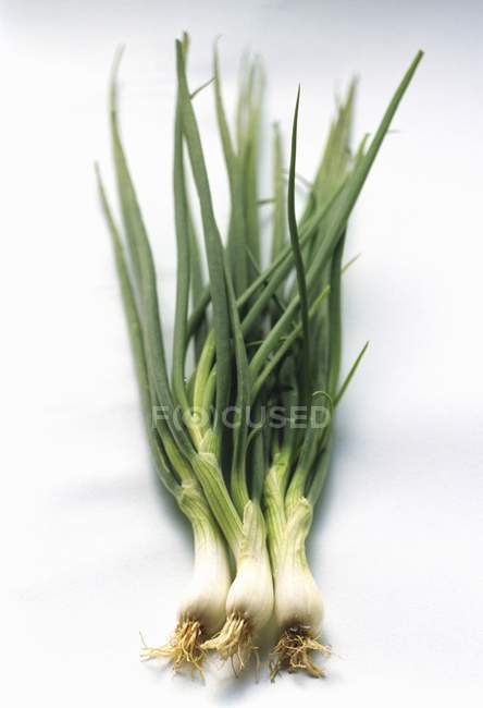 Three Green Onions — Stock Photo
