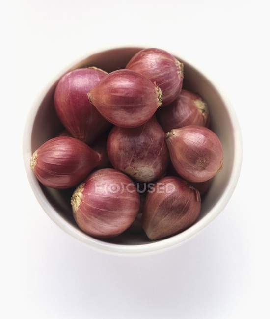 Shallots in a White Bowl — Stock Photo