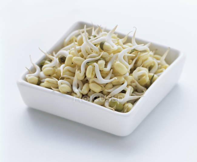 Germogli di fagioli in piatto rettangolare su sfondo bianco — Foto stock