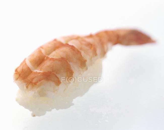 One Shrimp Nigiri Sushi — Stock Photo