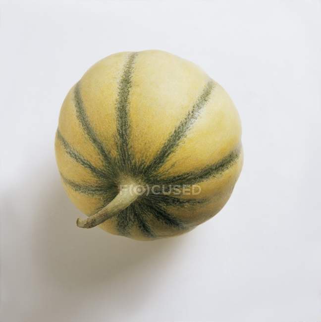 Frische Charentais-Melone — Stockfoto