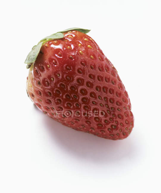 Nahaufnahme ganze Erdbeere — Stockfoto