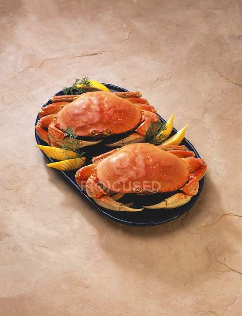Vista elevada de dos cangrejos cocidos con cuñas de limón y eneldo en bandeja - foto de stock