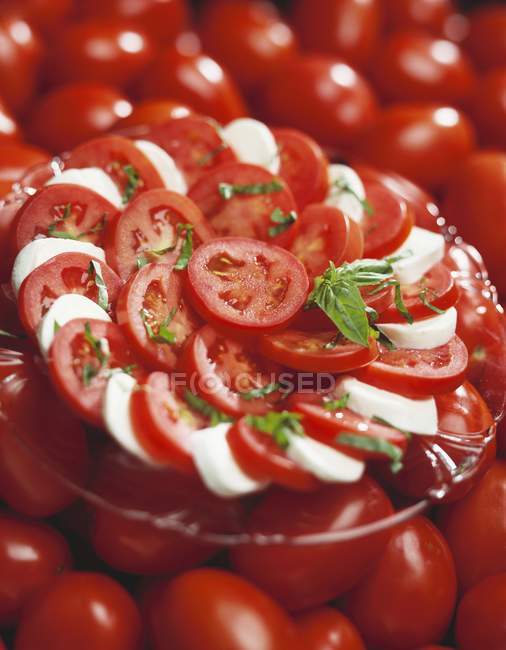 Plate of Caprese Salad — Stock Photo