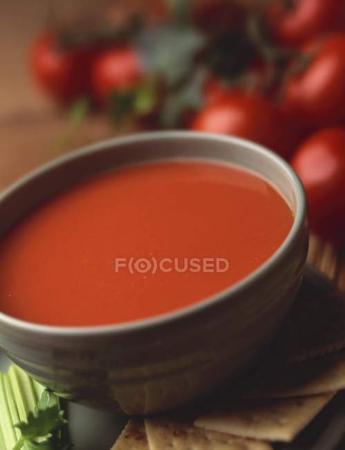 Bowl of tomato soup — Stock Photo
