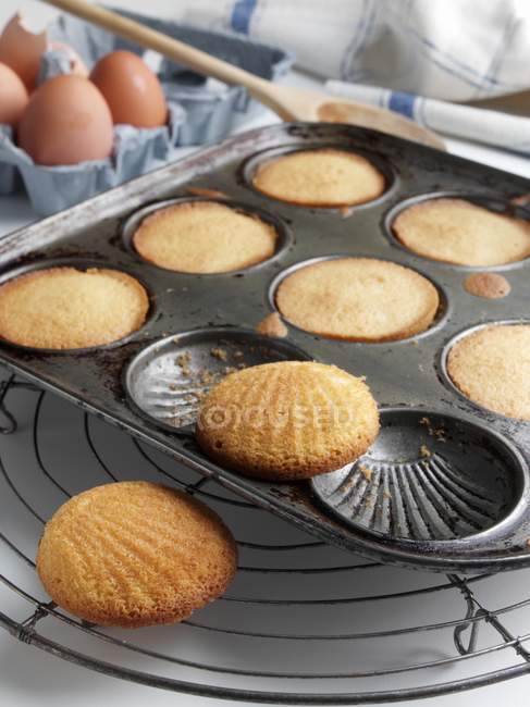 Madeleines in Baking Pan — Stock Photo