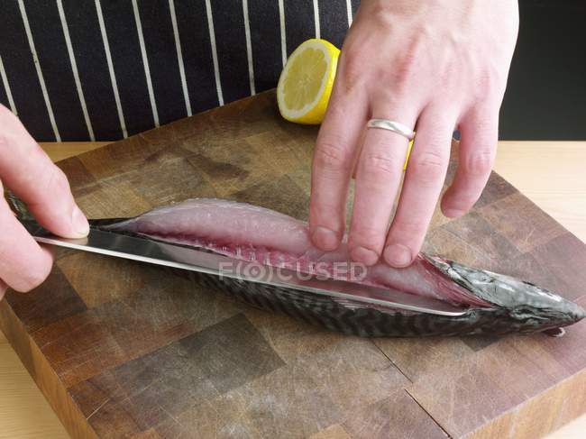 Mann schneidet Makrele mit Messer auf — Stockfoto