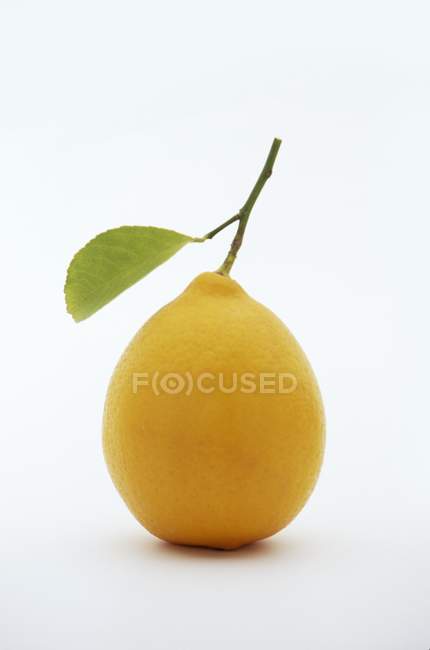Gros plan citron avec feuille — Photo de stock