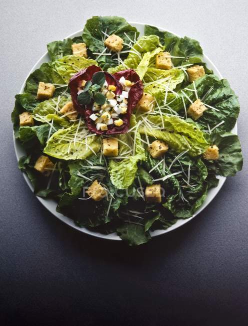 Salada verde mista — Fotografia de Stock