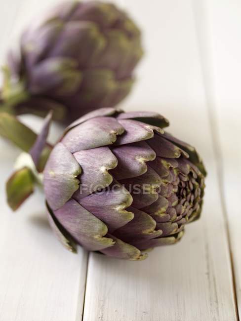 Zwei violette Artischocken — Stockfoto