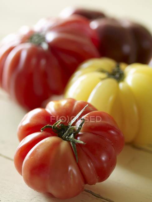 Различные семейные помидоры — стоковое фото