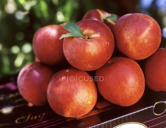 Куча свежих персиков — стоковое фото