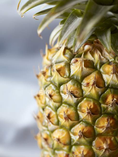 Ananas mûrs entiers — Photo de stock