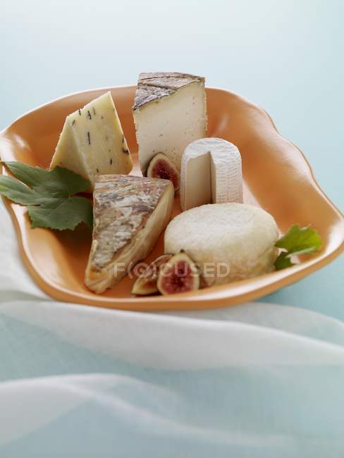 Plato de varios quesos - foto de stock