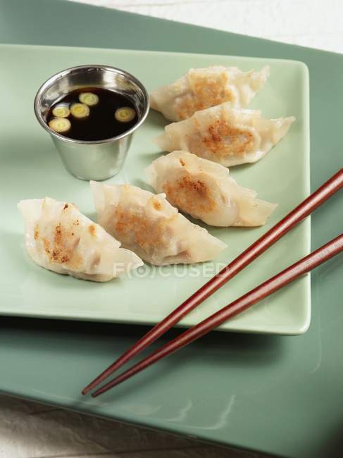Fried Pork Dumplings — Stock Photo