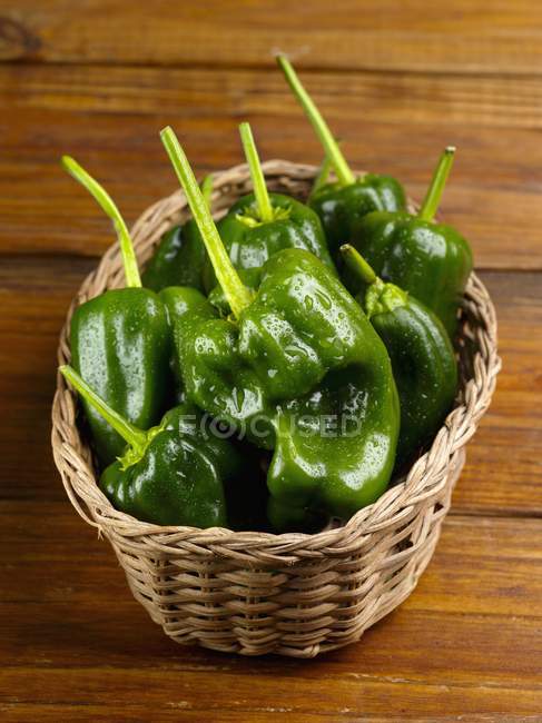 Green Poblano Peppers — Stock Photo