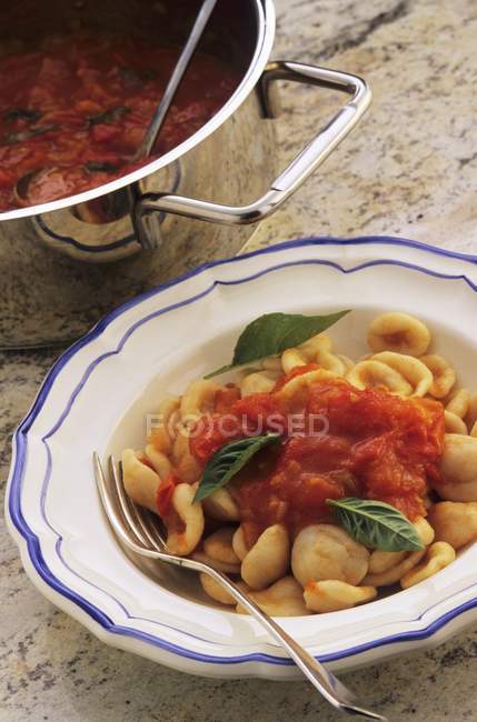 Pasta alle orecchiette con salsa di pomodoro — Foto stock
