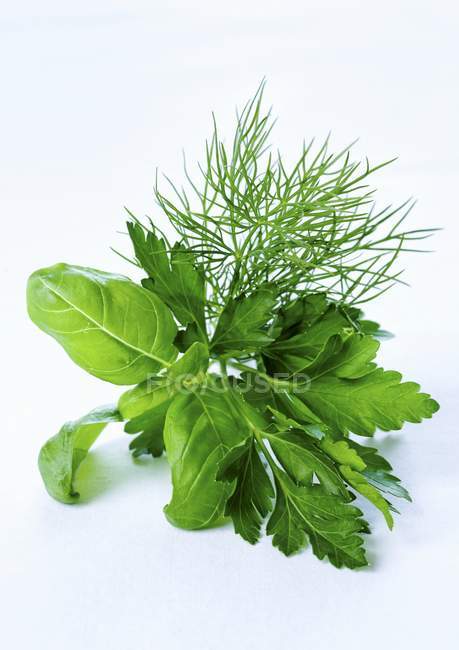 Bunch of fresh herbs — Stock Photo