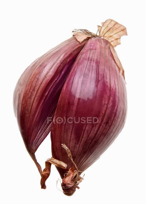 Red shallot, close-up on white — Stock Photo