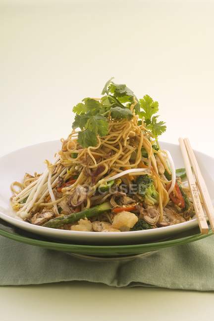 Stir fried noodles with chicken — Stock Photo