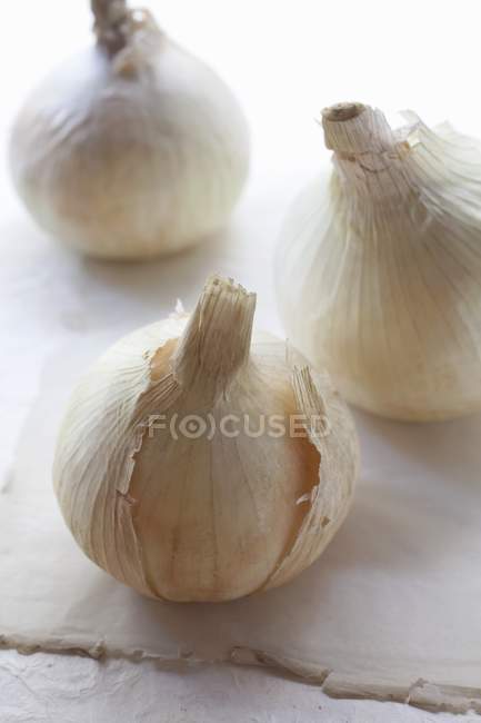 Trois oignons blancs — Photo de stock