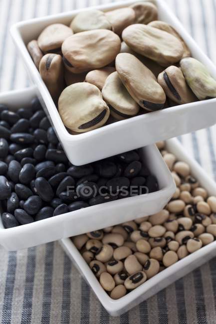 Vários feijões secos em tigelas — Fotografia de Stock