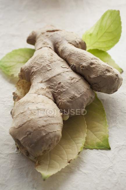 Fresh Ginger root on leaves — Stock Photo