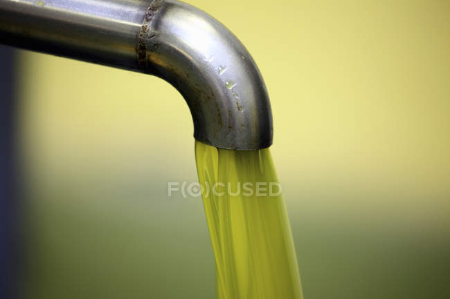 Fermer l'huile d'olive fraîche à froid — Photo de stock